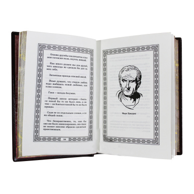 Книга «Мысли великих политиков»
