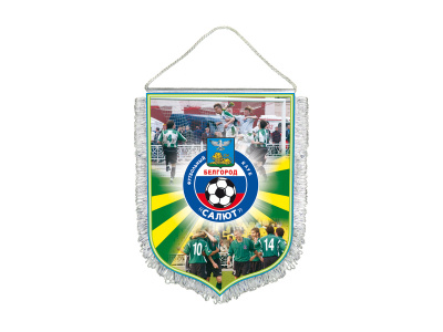 Вымпелы 20х28 см