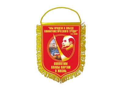Вымпелы 20х28 см