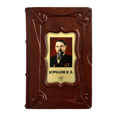 Книга «Курчатов И.В.»
